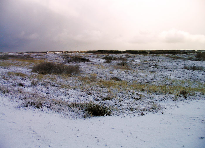 Angezuckerte Heided&uuml;nen