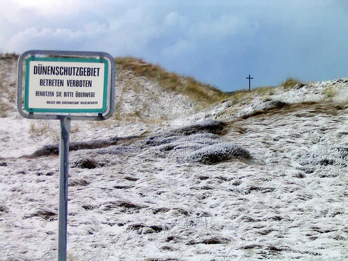 Winterliches D&uuml;nenschutzgebiet