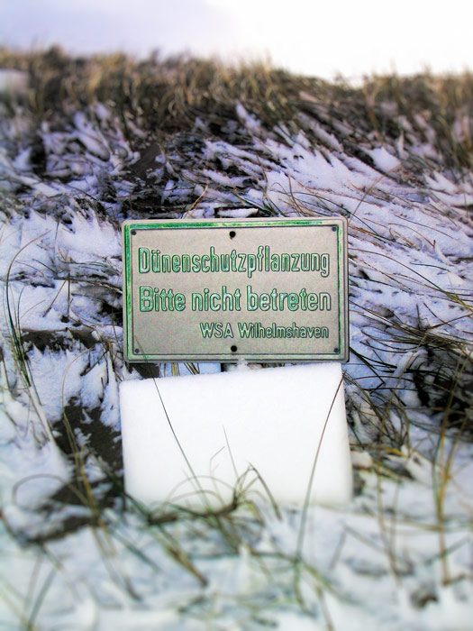 Hinweisschild &raquo;D&uuml;nenschutzpflanzung&laquo;