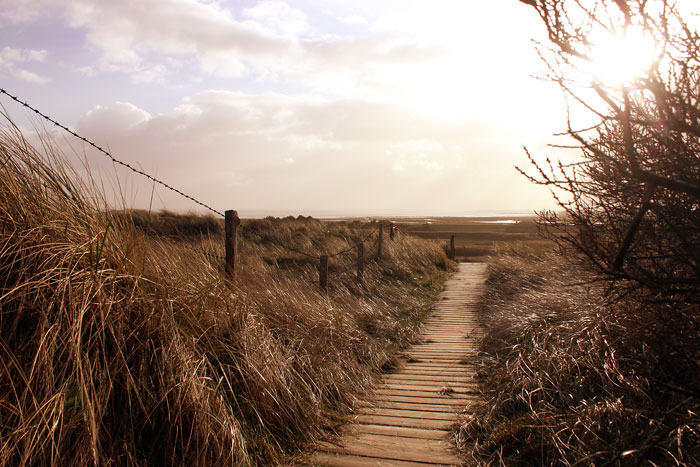 Auf der D&uuml;nen&uuml;berwegung