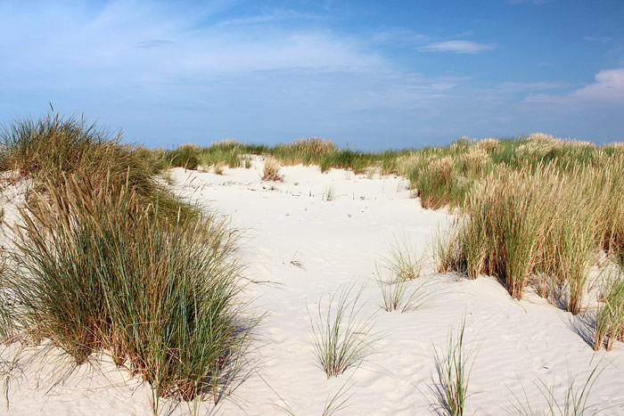 Wei&szlig;d&uuml;nen