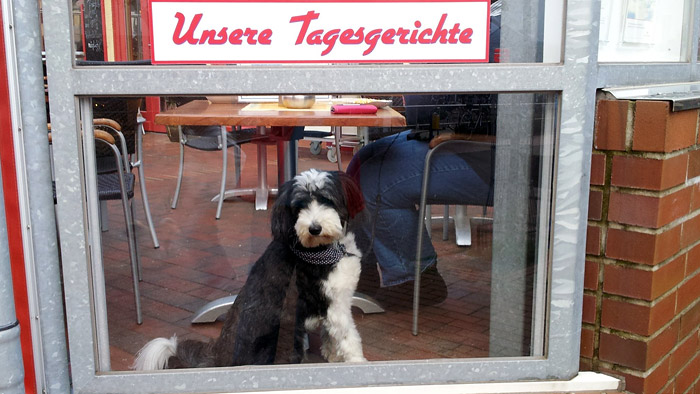 Unsere Tagesgerichte