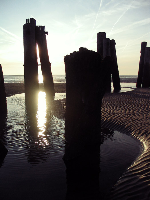 Dalben am Ostanleger