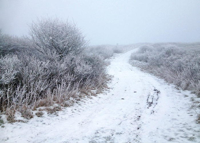 D&uuml;nen&uuml;berwegung Schwarzer Weg