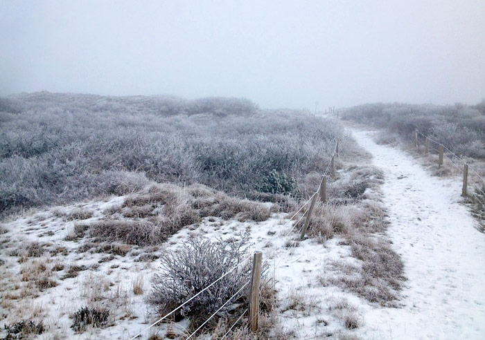 D&uuml;nen&uuml;berwegung im Nebel