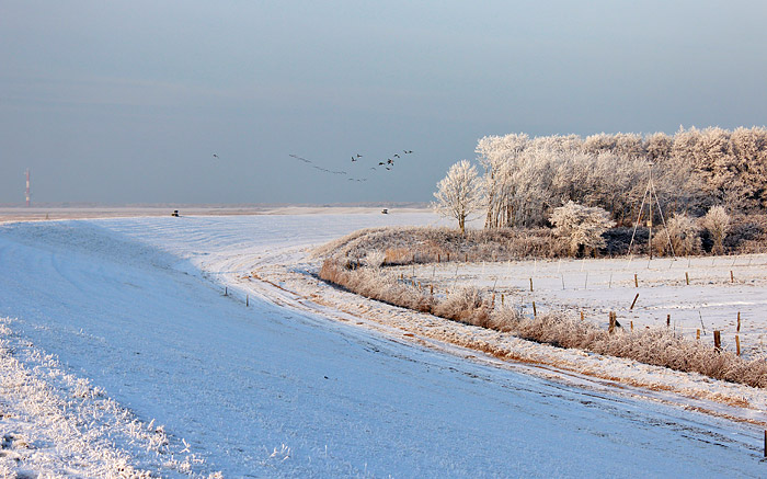 Auf dem Dorfgrodendeich