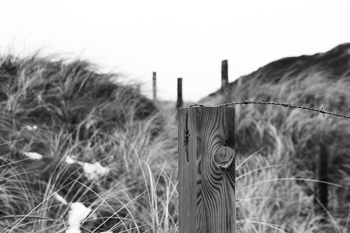 Eingez&auml;unte Nordd&uuml;nen