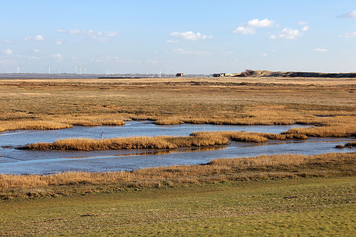 Westau&szlig;engroden vom Deich aus gesehen