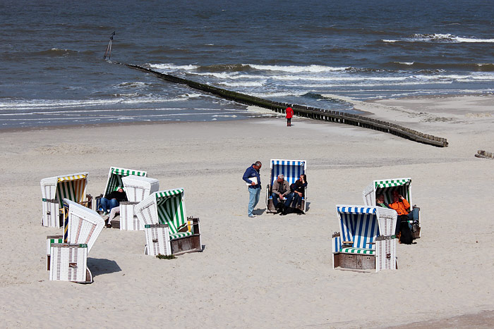 Interims-Hundestrand