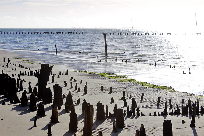 Ostanleger im Gegenlicht