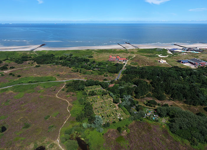 Heided&uuml;nen aus der Luft