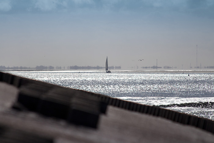 Blick auf das Harle-Gatt