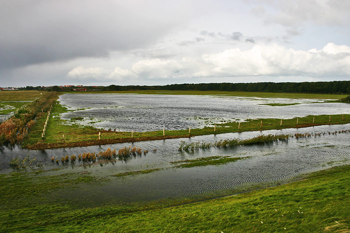 Überflutetes Trichtergelände