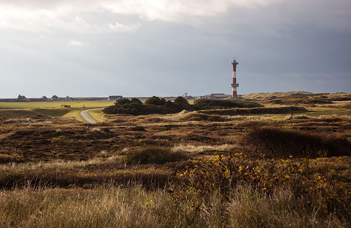 Heided&uuml;nen im Westen