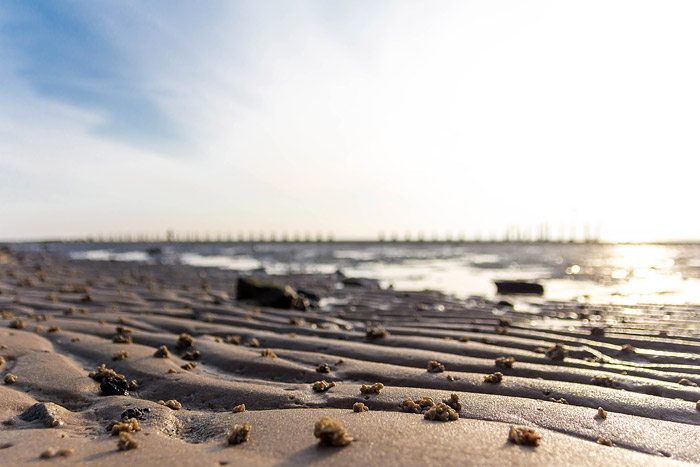 Sandrippel am Ostanleger