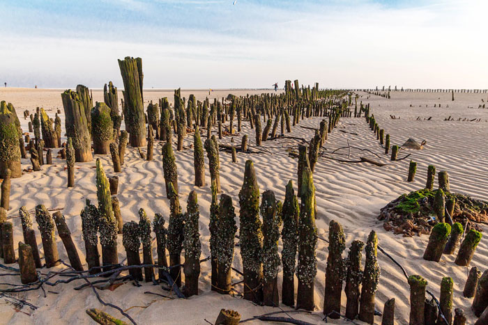 Pf&auml;hle am ehemaligen Ostanleger