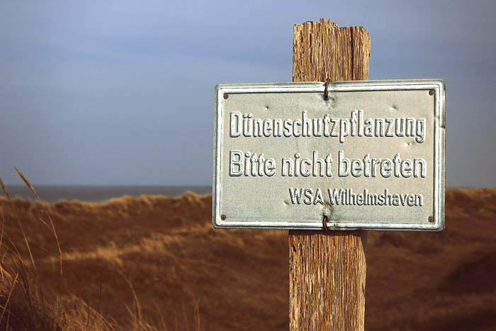 D&uuml;nenschutzpflanzung, bitte nicht betreten