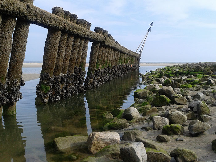 Buhne und Pfahlbuhne M