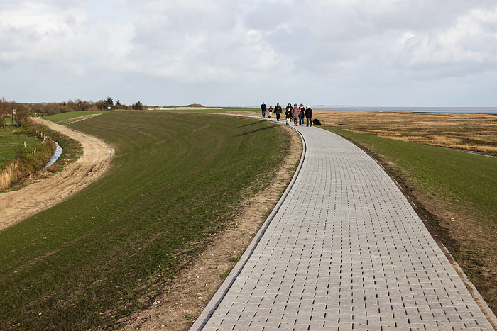 Spaziergang auf dem Dorfgrodendeich