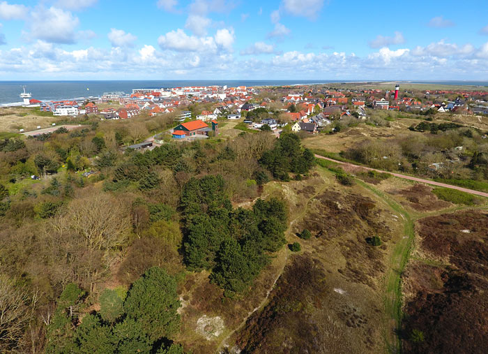 Schulw&auml;ldchen und Heided&uuml;nen