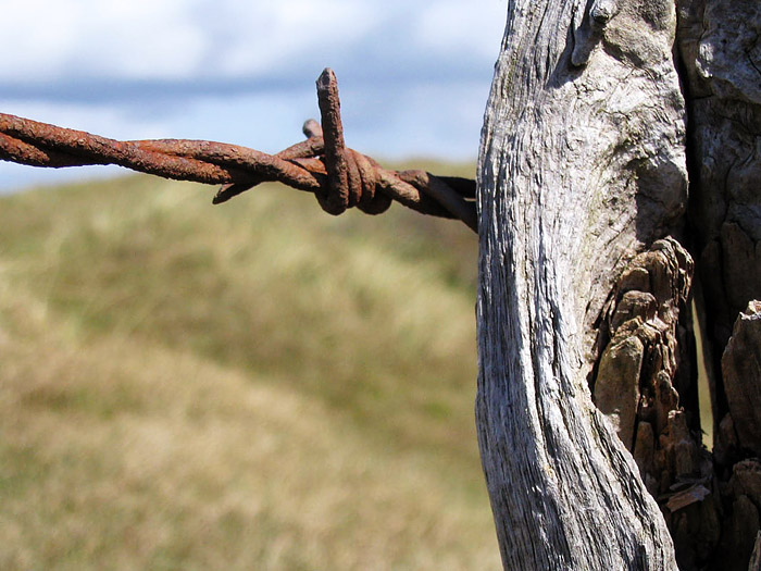 Stacheldrahtzaun in der Nahaufnahme