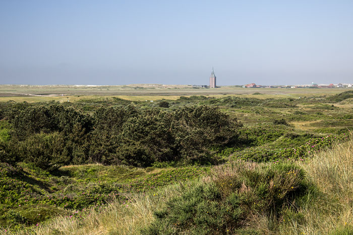 Sanddorntal von den Nordd&uuml;nen aus gesehen