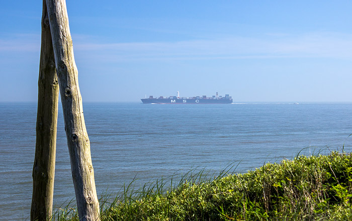 MSC Amsterdam