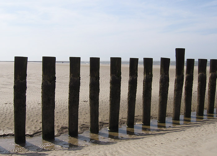 Pfahlbuhne L bei Niedrigwasser