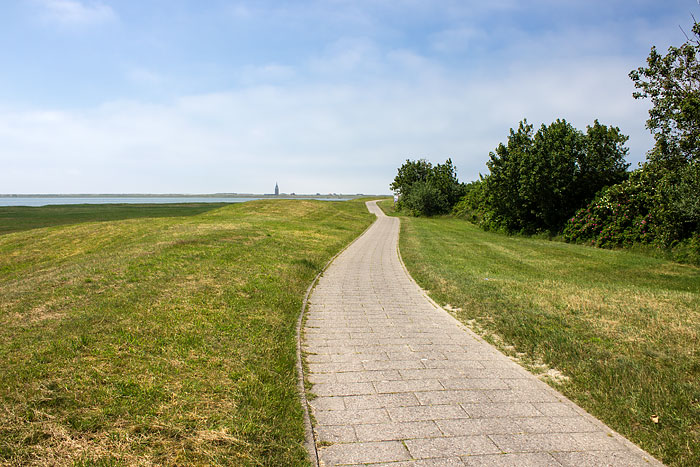 Frisch gem&auml;hter S&uuml;ddeich