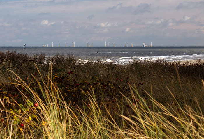 Blick zum Windpark Nordergr&uuml;nde
