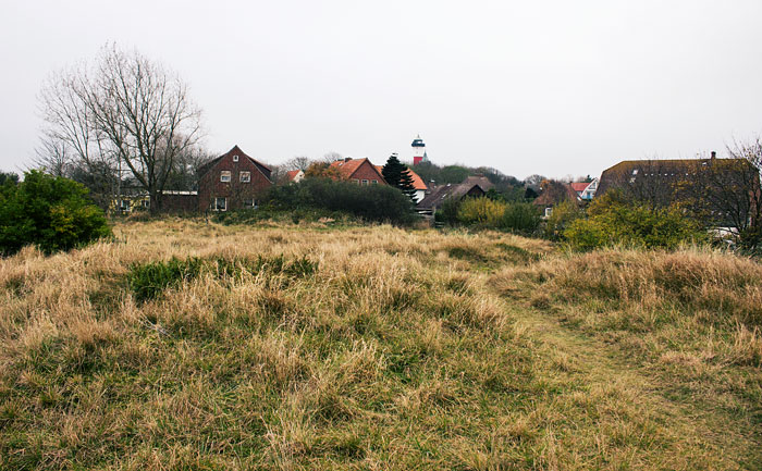 Siedlerstra&szlig;en-D&uuml;nen