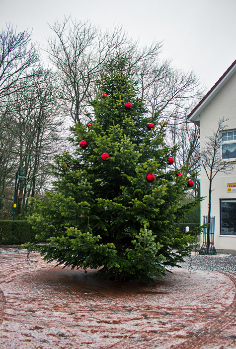 Weihnachtsbaum auf dem Appellplatz