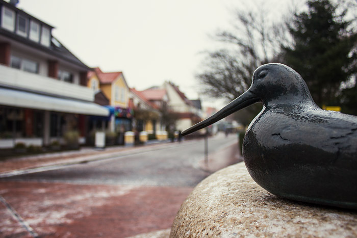 Austernfischer-Skulptur auf dem Brunnen