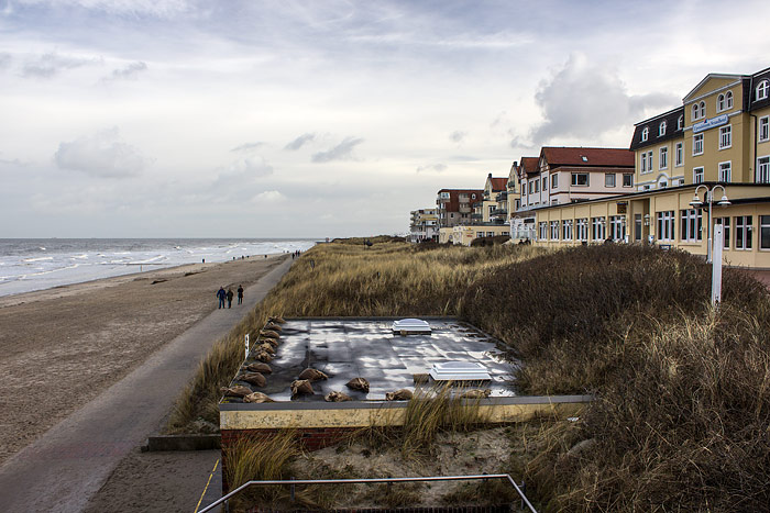 Strand und Promenade