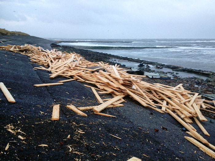 Angetriebenes Bauholz am Deckwerk