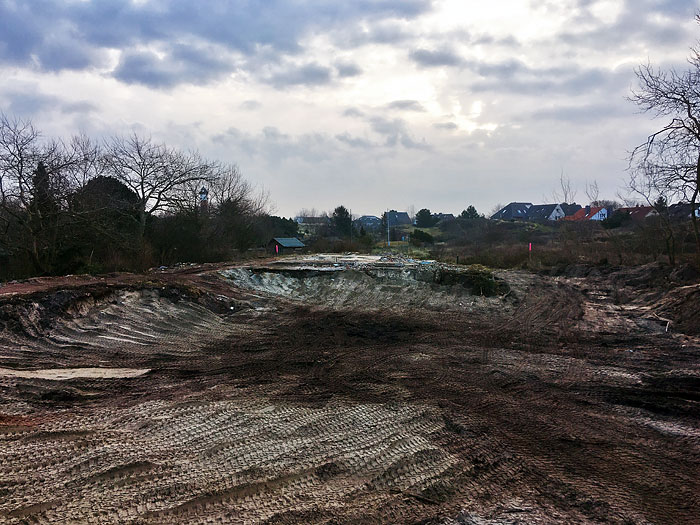 Planierter Erlengrund