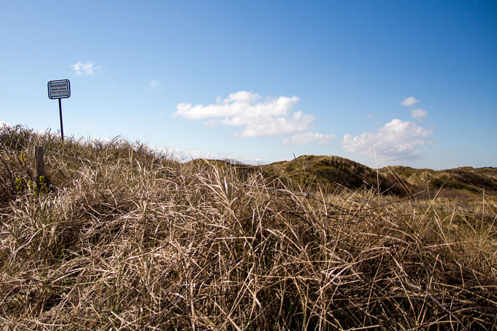 Nordostd&uuml;nen im Fr&uuml;hjahr