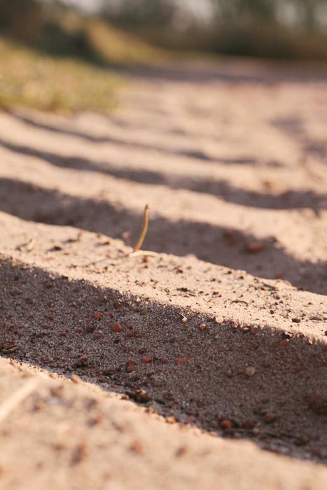 Reifenspuren im Detail