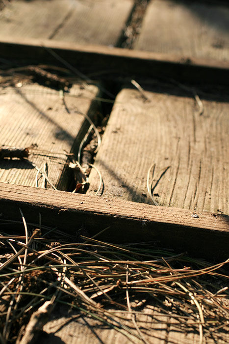 Holzsteg zum Schulw&auml;ldchen