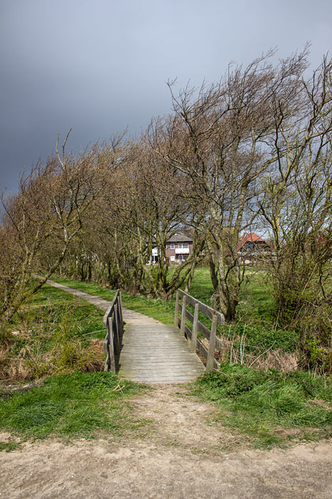 Fu&szlig;weg zum Deich