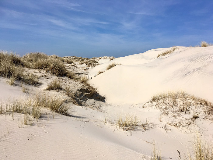 Wei&szlig;d&uuml;nen im Osten