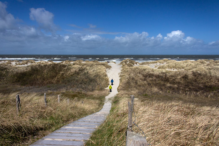 D&uuml;nen&uuml;berwegung im Osten