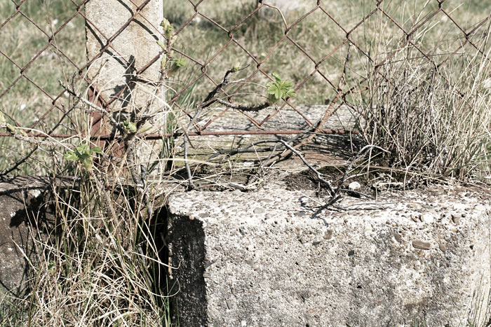 Zaun im Jadeh&ouml;rn