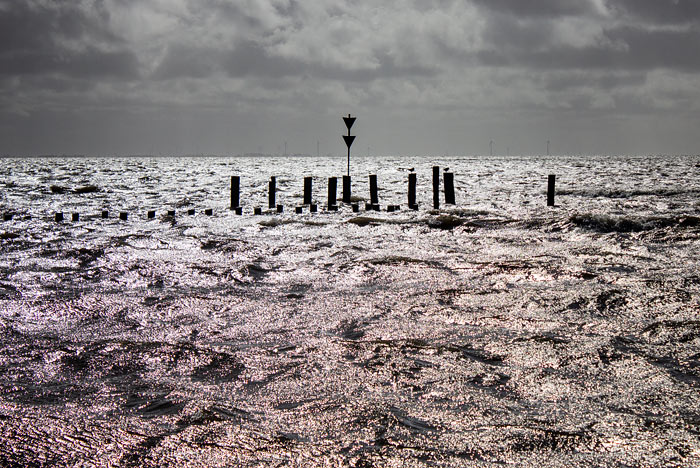 Pfahlreste der ehemaligen Ostbake