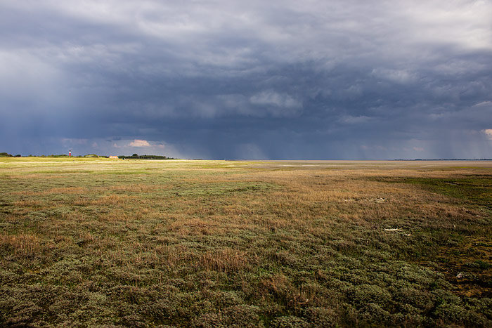 Salzwiesen östlich der Bahngleise