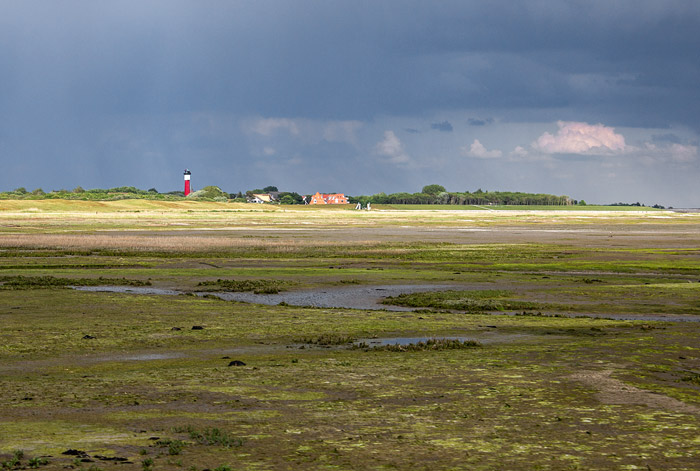 Salinebucht bei Niedrigwasser