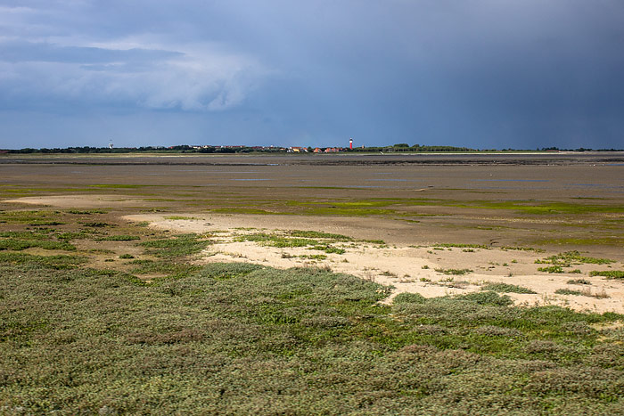 Salinebucht vom Zug aus gesehen