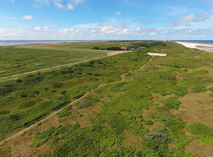 D&uuml;nenweg im Osten
