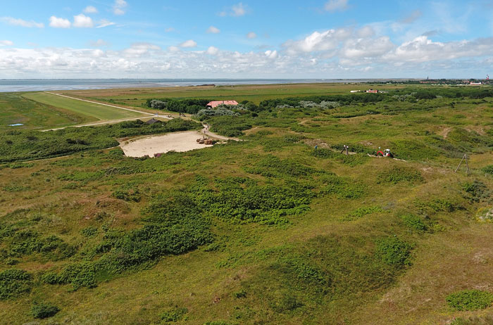 Braund&uuml;nen bei Caf&eacute; Neudeich
