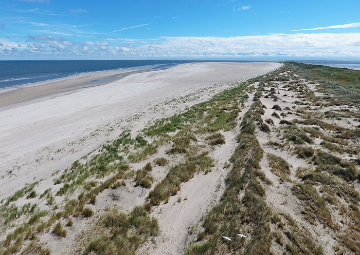 Wei&szlig;d&uuml;nen im Inselosten